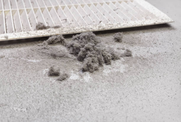 Best Duct Cleaning for Offices  in Newark, NY